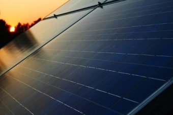 Rapid uptake of solar panels puts dent in electricity market.